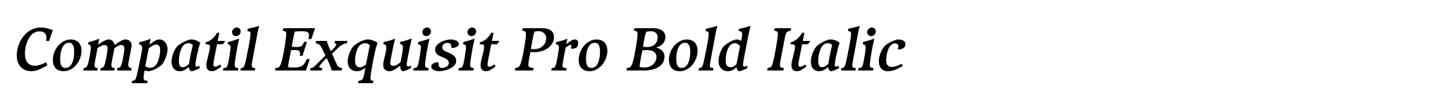 Compatil Exquisit Pro Bold Italic image